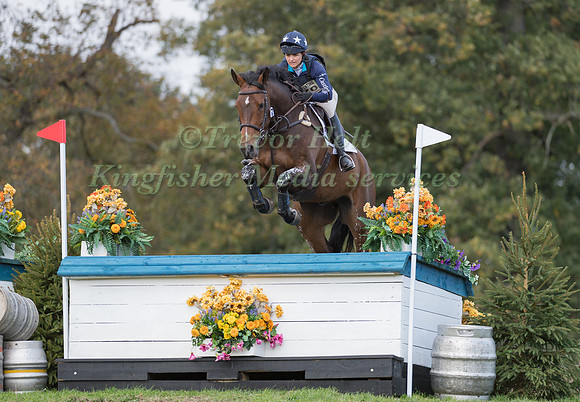 AMY TOUGH RIDING NOBLE HOTSHOT