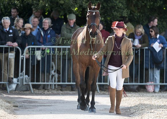KATE HONEY  (GBR) AND  FERNHILL NOW OR NEVER
