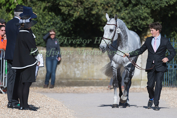 TOM MCEWEN (GBR) AND  STRIKE SMARTLY