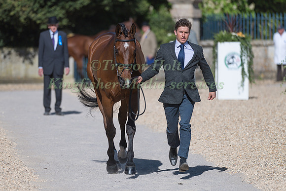 TOM CRISP  (GBR) AND  COOLYS LUXURY