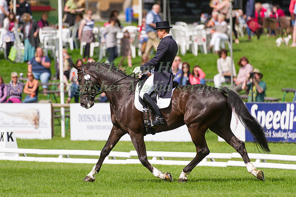 Alexander Peternell and AP Topstar