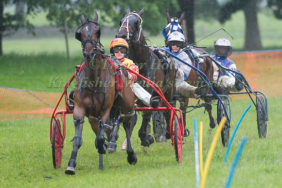 Helifield Harness Racing