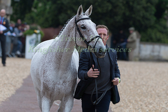 Oliver Townend (GBR) and  Ballaghmor Class