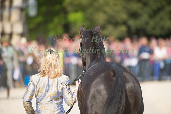 Nicola Wilson and Opposition Buzz