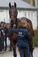 ROSALIND CANTER AND ALLSTAR B