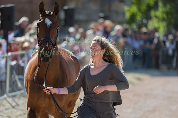 Jodie Amos of Great Britain  and Figaro Van Het Broekxhof