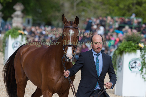 Tim Price (NZL) and  Ringwood Sky Boy
