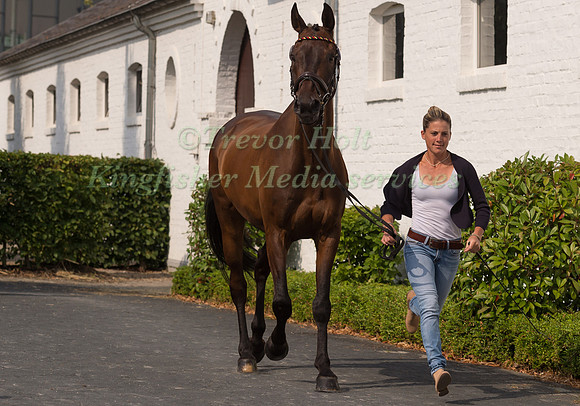 JOSEFA SOMMER (GER) AND HAMILTON 24