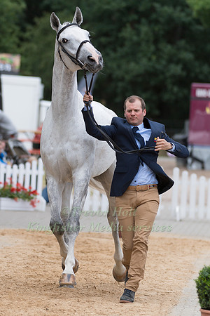 NICOLAS WETTSTEIN (ECU) AND MEYER'S HAPPY