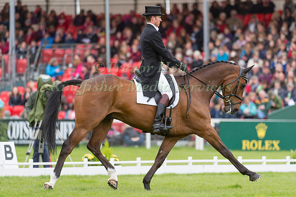 Tom Crisp (GBR) riding Coolys Luxury