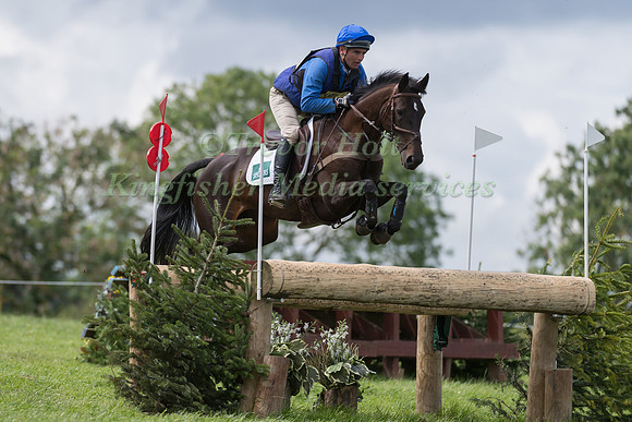 ANDREW JAMES AND LAPDANCER