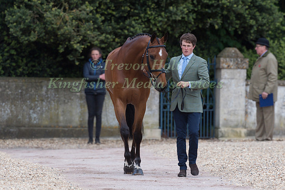 Tom McEwen (GBR) and  Toledo de Kerser