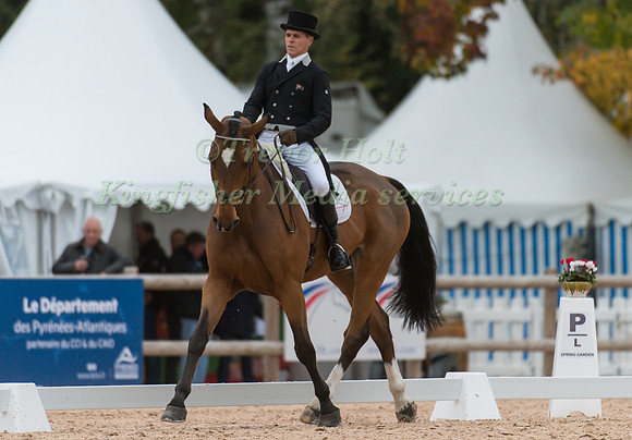 Blyth Tait of New Zealand riding Bear Necessity V