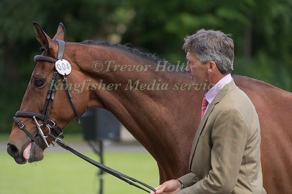 ANDREW  NICHOLSON (NZL) AND BYRNESGROVE FIRST DIAMOND AT THE EQUI-TREK CCI *** FINAL HORSE INSPECTION OF THE 2017 BRAMHAM INTERNATIONAL HORSE TRIALS