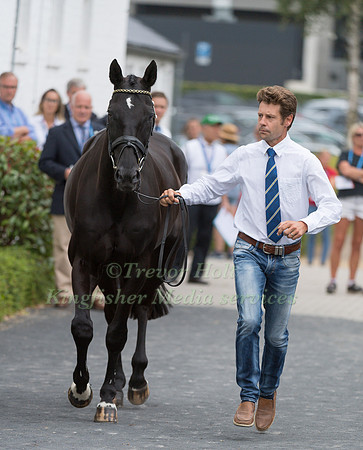 CHRISTOPHER BURTON (AUS) AND POLYSTAR I