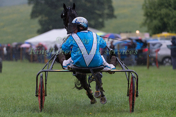 Helifield Harness Racing