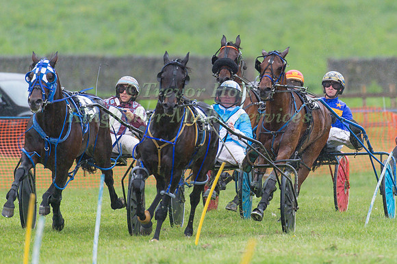 helifield Harness Racing