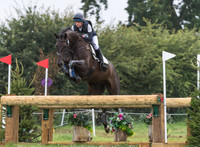 STORM STRAKER AND FEVER PITCH
