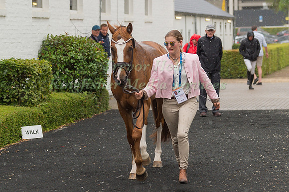 NADJA MINDER AND AQUILA B
