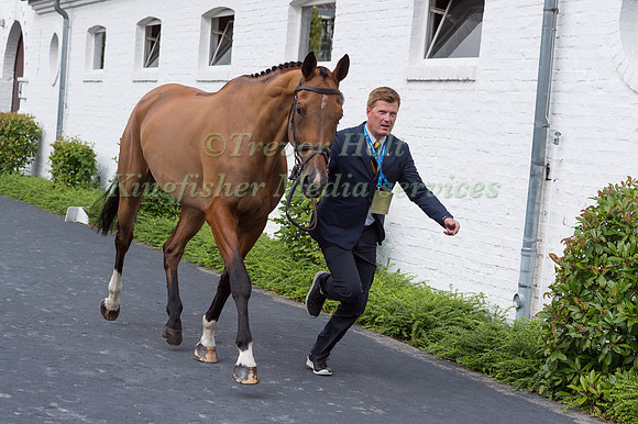 NIKLAS LINDBACK AND FOCUS FILIOCUS