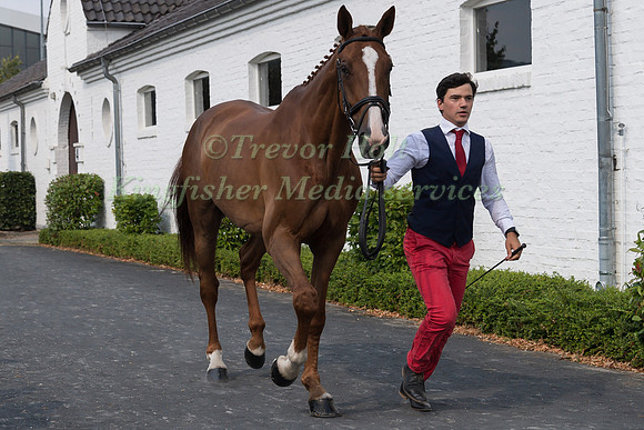 THIBAULT FOURNIER (FRA) AND SINIANI DE LATHUS