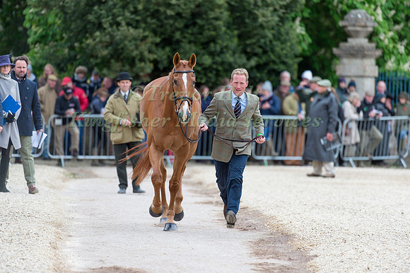 Oliver Townend (GBR) and Armada