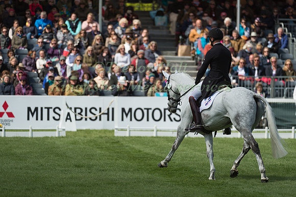 Paul Tapner (AUS) riding Bonza King of Rouges in the Dressage phase  of  the 2017 Mitsubishi Motors  Badminton Horse Trials
