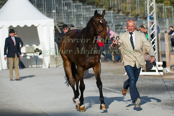 Elmar Lesch of Germany and Lanzelot  113