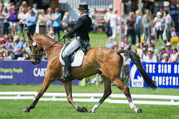 Roo Fox and The Dutch Horse