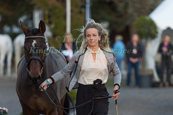 Lissa GREEN  (GBR) AND HOLLYFIELD