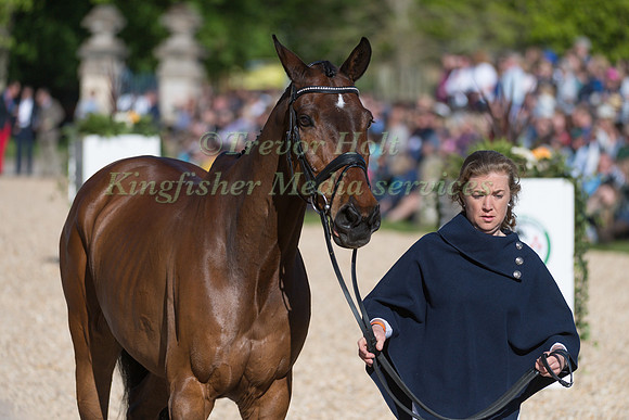 KATE HONEY  (GBR) AND  FERNHILL NOW OR NEVER