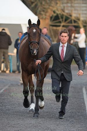 Tom Crisp (GBR) Coolys Luxury