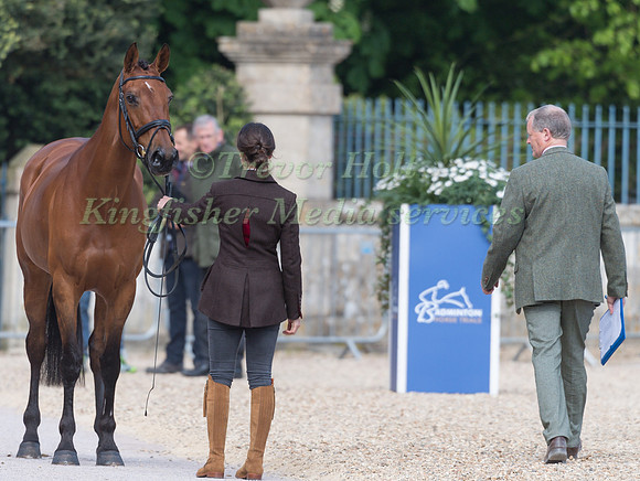 Becky Heappey (GBR) and DHI Babette K