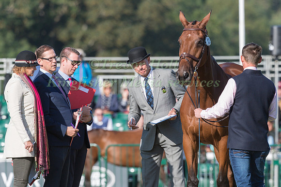 MATTHEW HEATH (GBR) AND THE LION