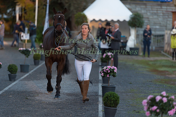 Kate HONEY  (GBR) AND FERNHILL NOW OR NEVER