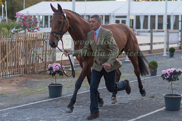 Andrew NICHOLSON  (NZL) AND QWANZA
