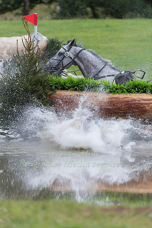 BEN HOBDAY RIDING  SHADOW SEAHORSE