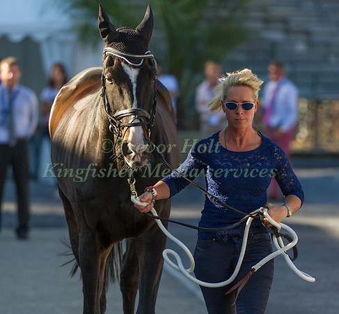 Bettina Hoy and Lanfranco TSF