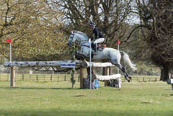 ANDREW  NICHOLSON AND SWALLOW SPRINGS