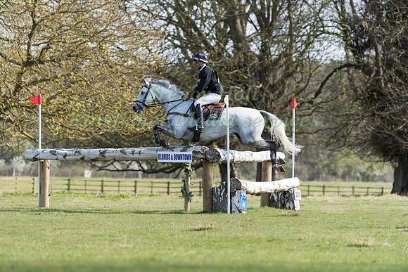 ANDREW  NICHOLSON AND SWALLOW SPRINGS