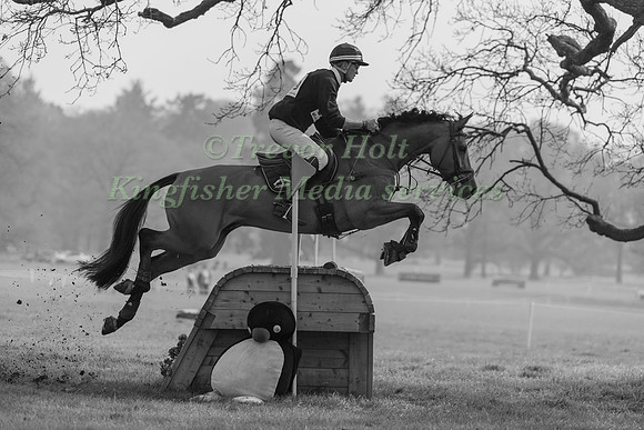 ANDREW NICHOLSON RIDING ARGENTINO BK