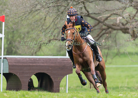 TOM BIRD RIDING PARKFIELD QUINTESSENTIAL