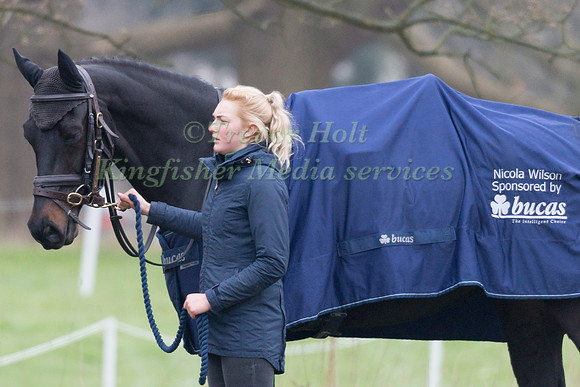 CHABADU BEING LED BACK TO STABLE AFTER DRESSAGE