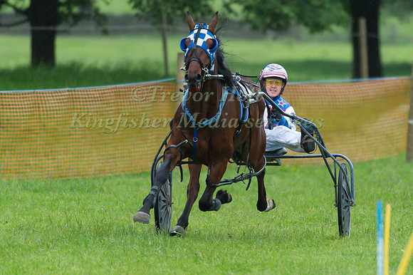 Helifield Harness Racing