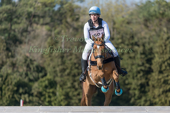 CLAIRE DREY-BROWN (GBR) AND BALEER