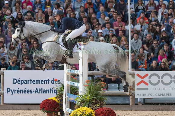 Nicky RONCORONI (GBR) AND STONEDGE