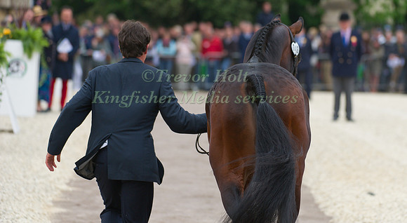 Kai Ruder & Le Prince Des Bois