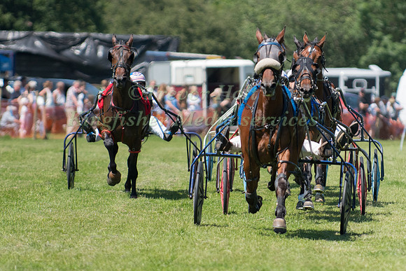 Harness racing at Helifield , Yorkshire
