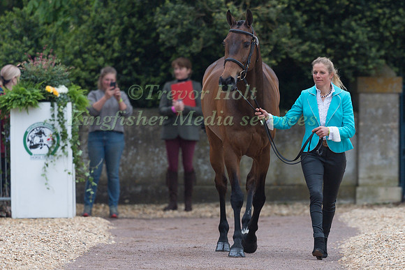 Izzy Taylor (GBR) and  Springpower