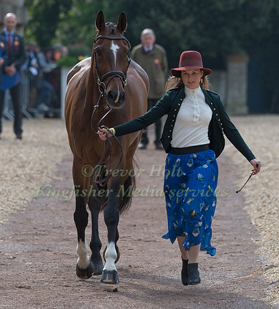 Malin Josefsson (SWE) and  Golden Midnight
